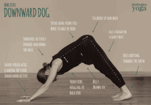 Downward Dog